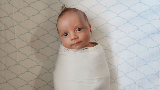 Swaddled baby