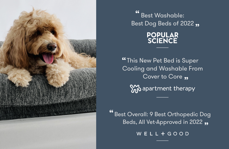 Washable & Orthopedic Pet Bed with Extra Cover