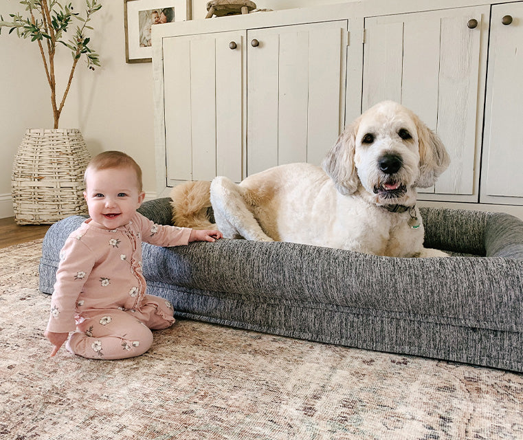 Lazy boy best sale pet beds